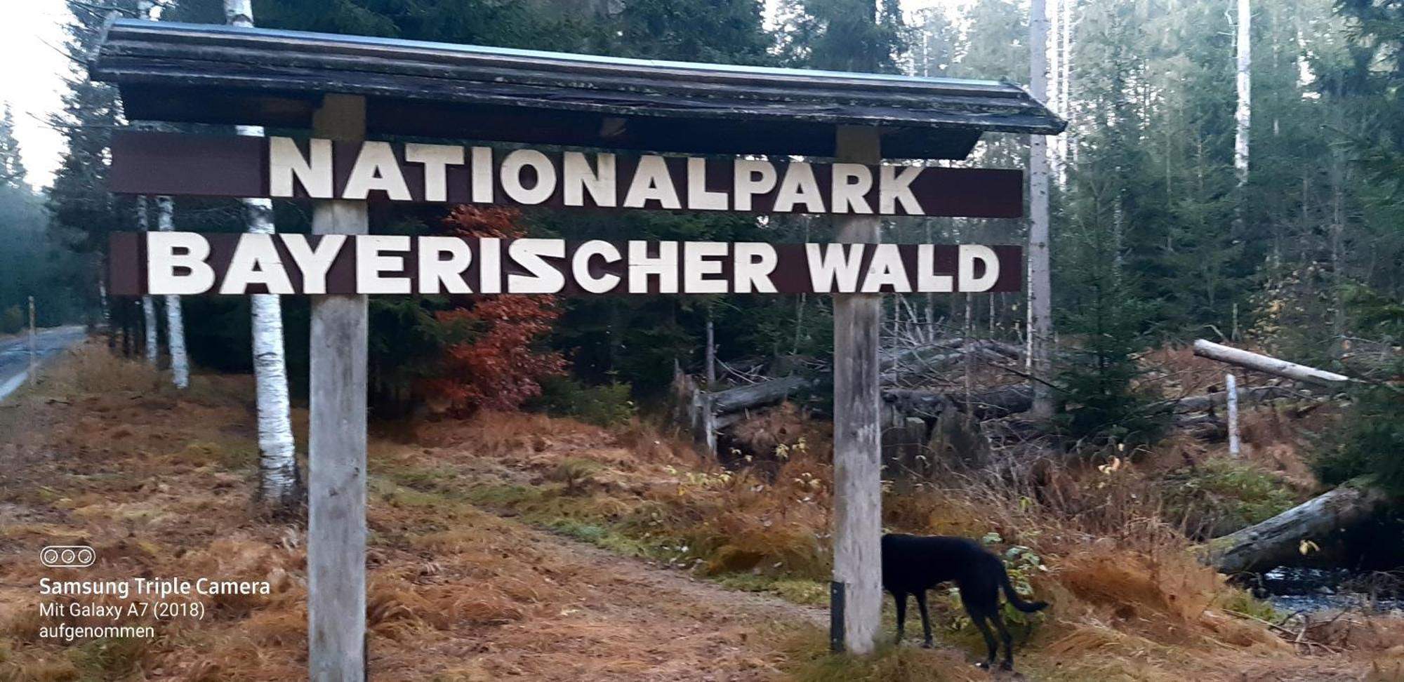 Gaestehaus Am Goldberg Sankt Oswald-Riedlhuette Exteriör bild